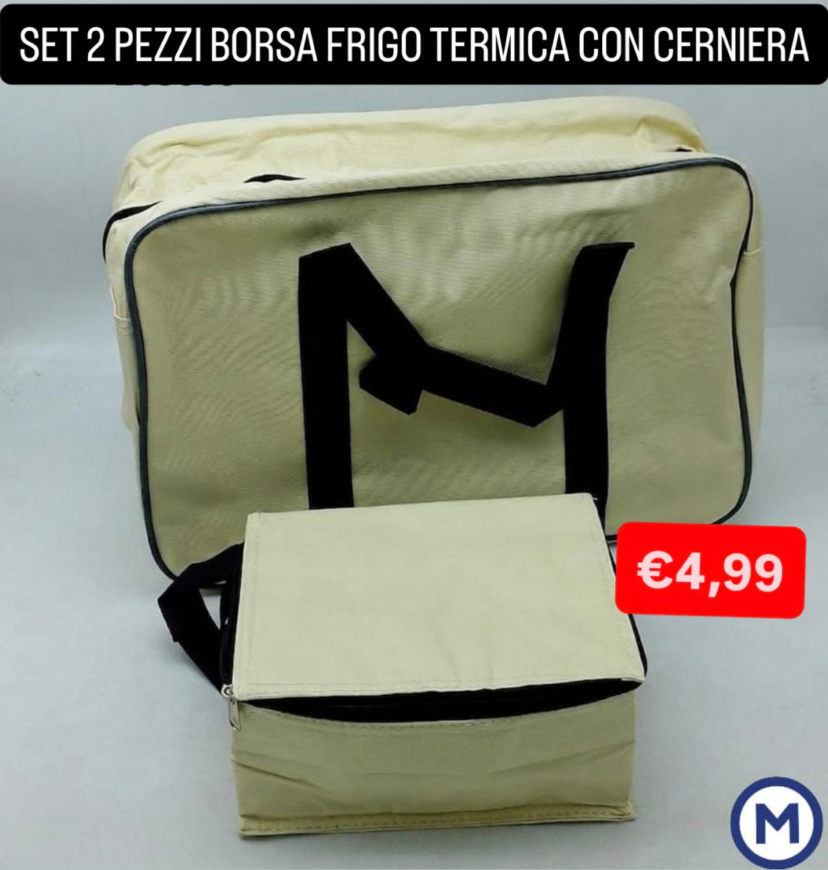 SET 2 PEZZI DI BORSA FRIGO TERMICA